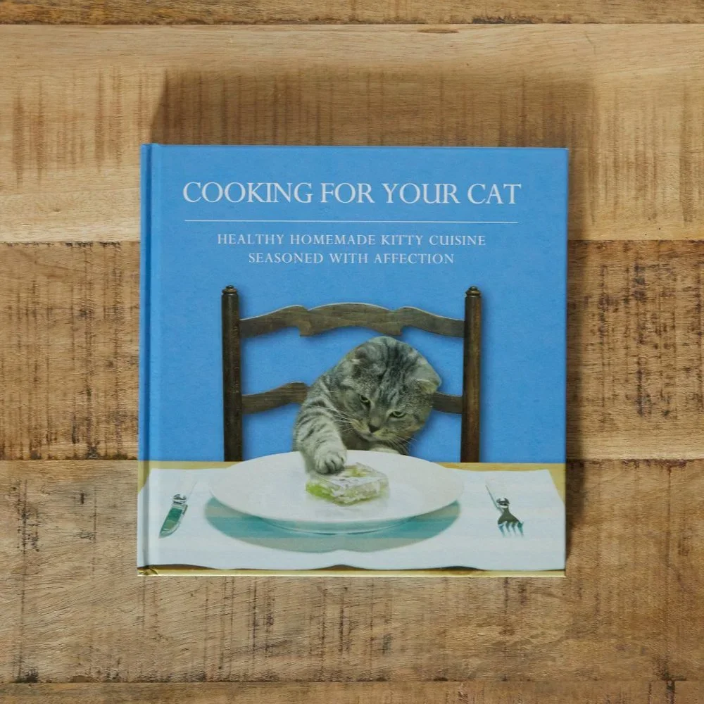 Cooking For Your Cat Cookbook + Tall Ceramic Food Dish NWOT